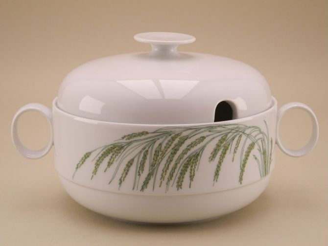 Rosenthal Duo Indian Rice Suppenterrine