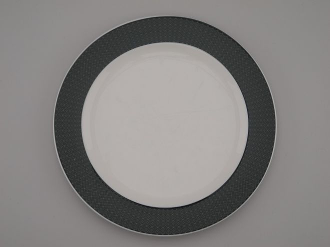 Rosenthal Variation Speiseteller Hotelgeschirr