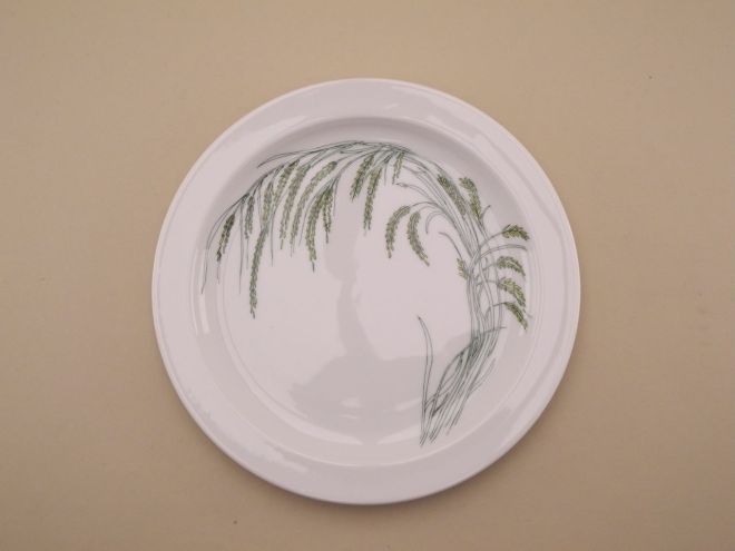 Rosenthal Duo Indian Rice Kuchenteller