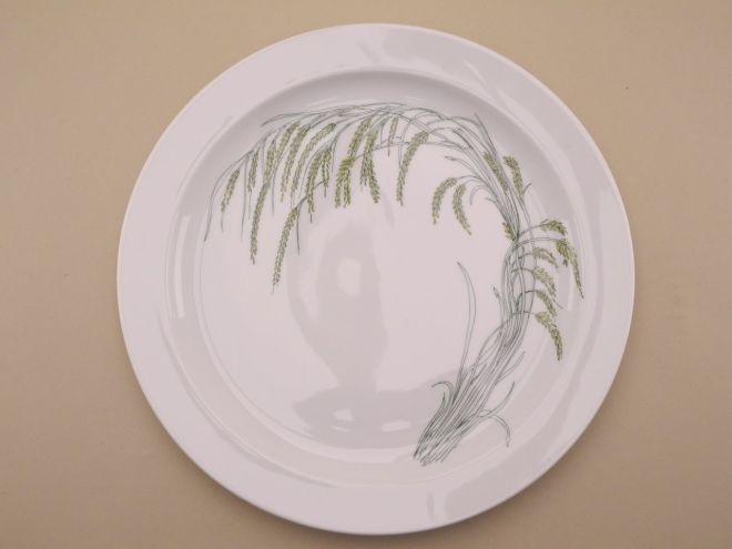 Rosenthal Duo Indian Rice Speiseteller