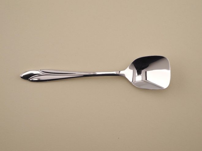 BSF Minou Edelstahl Zuckerlöffel