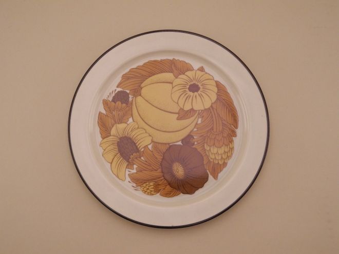 Kuchenteller Dessertteller vintage alte Serie Terra Dekor Prato von Rosenthal Keramik