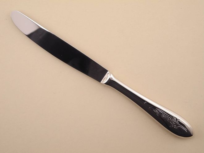  Tafelmesser Messer in 18/8 Edelstahl aus der vintage alten Serie Fioretta von BSF Besteck