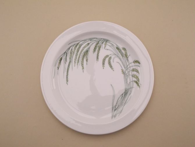Rosenthal Duo Indian Rice Kuchenteller