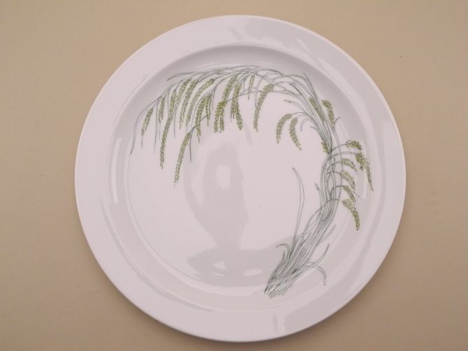 Rosenthal Duo Indian Rice Speiseteller