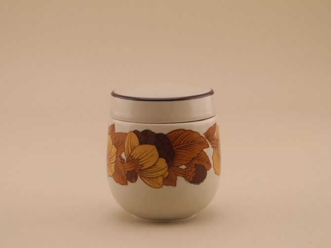 Zuckerdose vintage alte Serie Terra Dekor Prato von Rosenthal Keramik